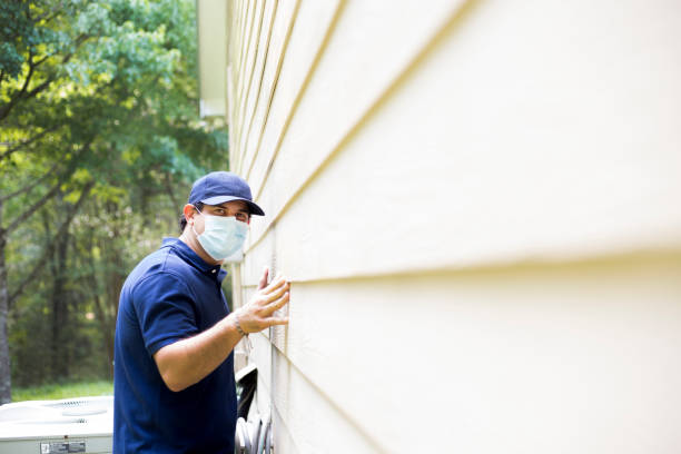 Affordable Siding Repair and Maintenance Services in Waverly, NE